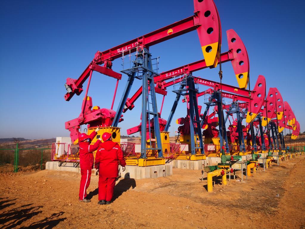 202504209e8029b7d6014c60a025d9c300a92f38_907982455d004a4ab9a22173ab0dd62a.jpg 202504209e8029b7d6014c60a025d9c300a92f38_907982455d004a4ab9a22173ab0dd62a.jpg